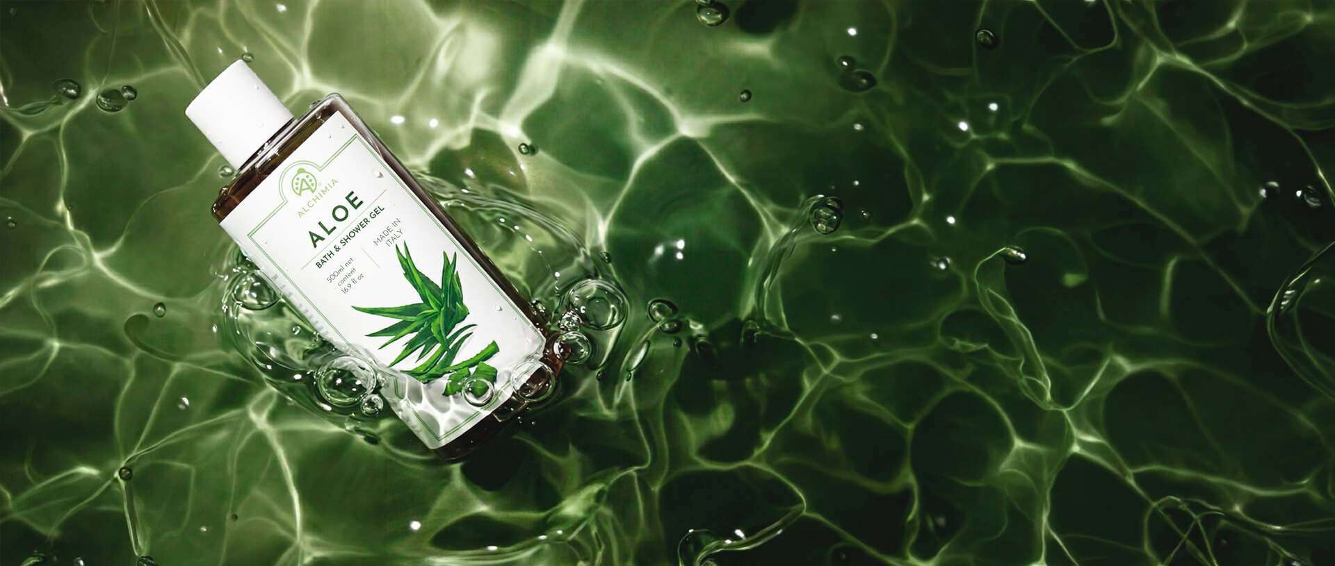 2.HERO_ALOE