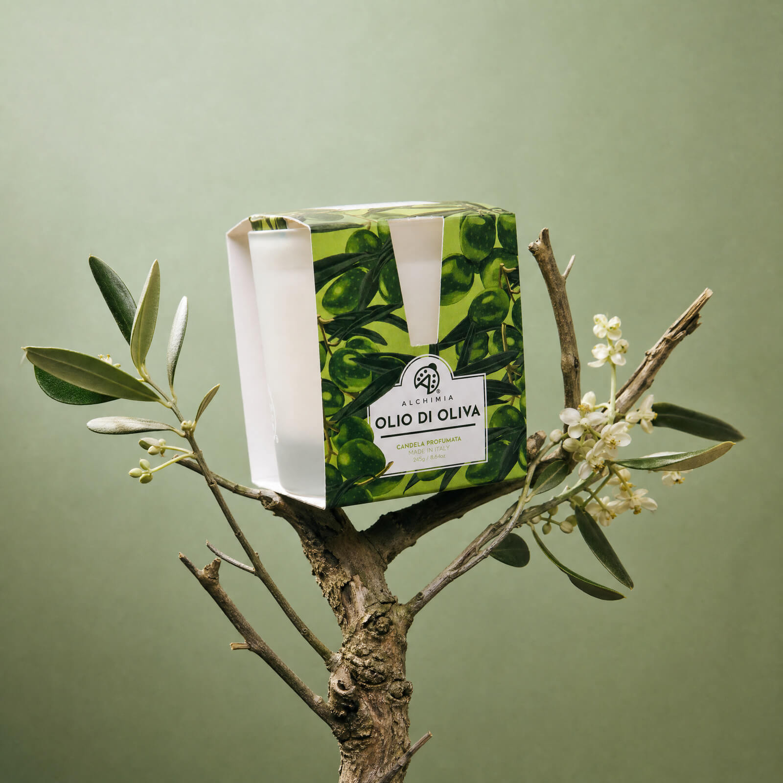 candela profumata per la casa all'olio di oliva